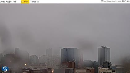 2025-08-05