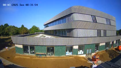 2025-08-03