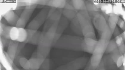 2025-10-05