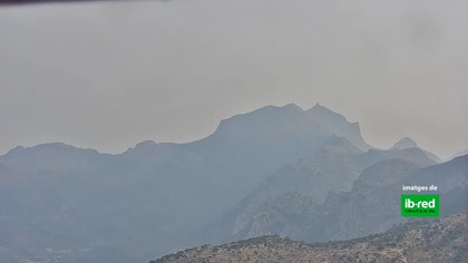2025-08-18