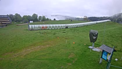2026-05-12