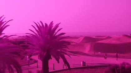 2025-08-13