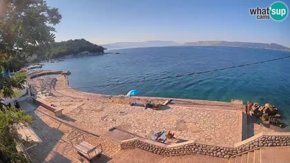 2026-07-31