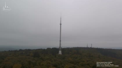 2025-10-10