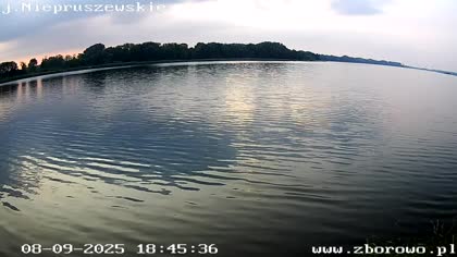 2025-09-08