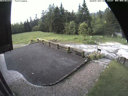 2025-05-26