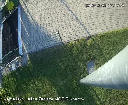 2026-06-06