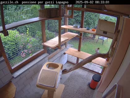 2025-09-02