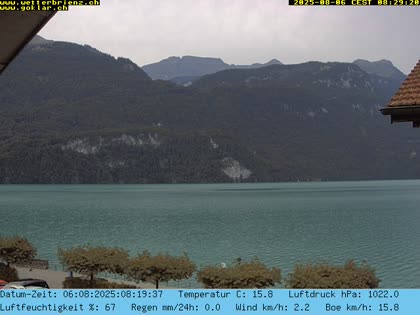 2025-08-06