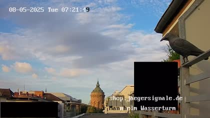2025-08-05