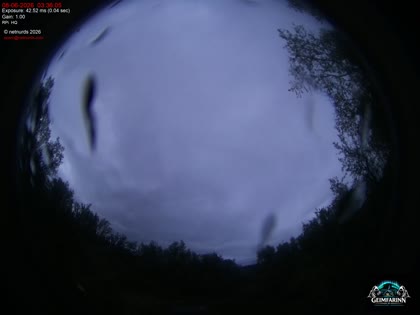 2026-06-08