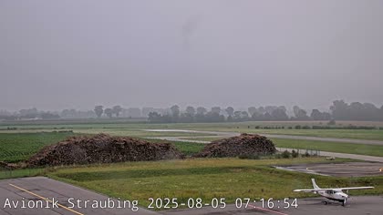 2025-08-05