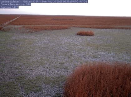 2026-08-10