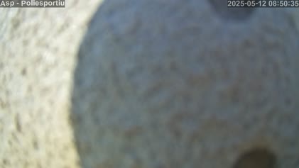 2025-05-12