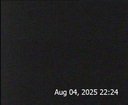 2025-08-05