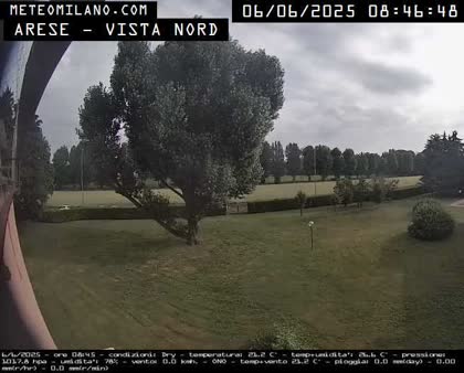 2025-06-06