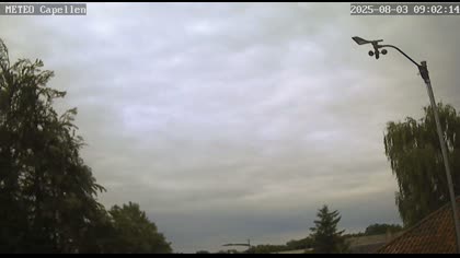 2025-08-03
