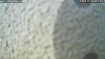 2025-09-06
