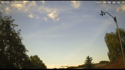 2025-08-08