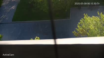 2025-05-09