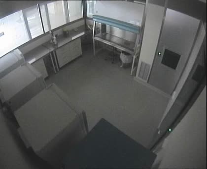 2025-10-12
