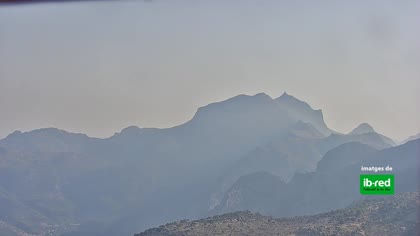 2025-08-11