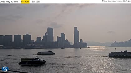 2026-05-12