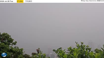 2026-07-28