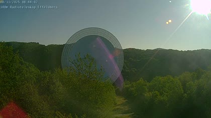 2025-08-11