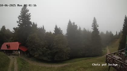 2025-10-06