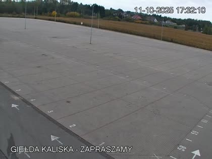 2025-10-11