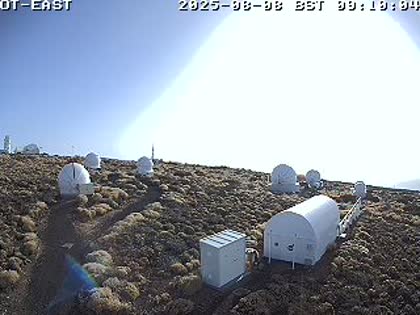 2025-08-08