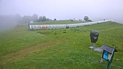 2026-06-10