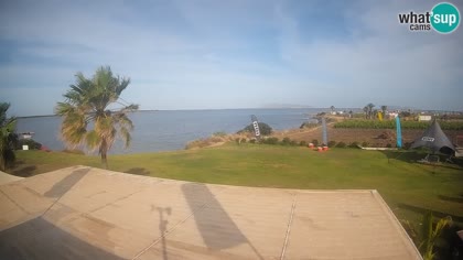 2026-06-12