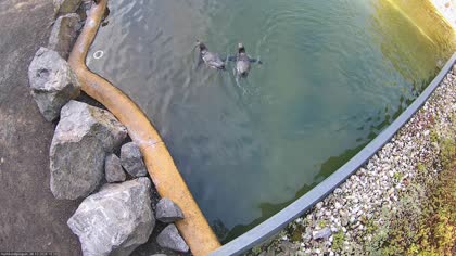 2026-10-06