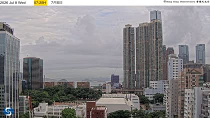 2026-07-08