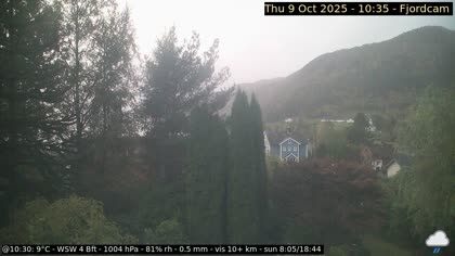 2025-10-09