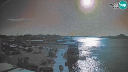 2026-10-14
