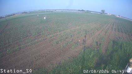 2026-08-02