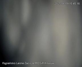 2025-06-20