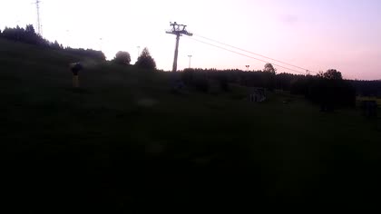2025-08-07