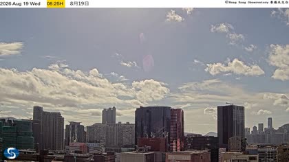 2026-08-19