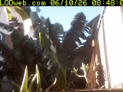 2026-06-10