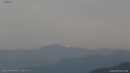2025-08-19