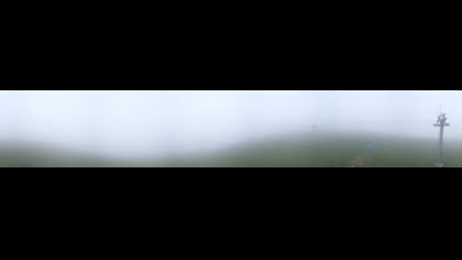 2025-07-16