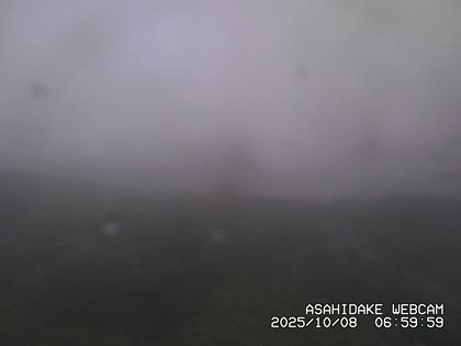 2025-10-08
