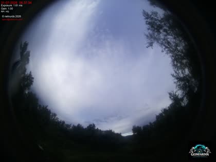 2026-07-31