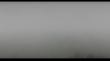 2025-07-24