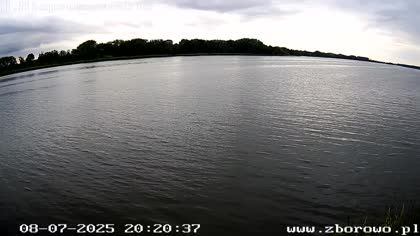 2025-07-08
