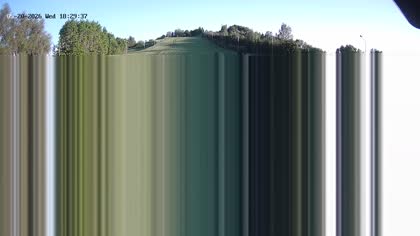 2026-05-20